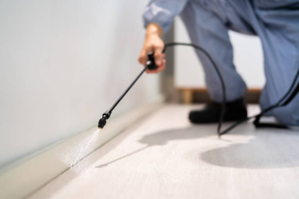 Licensed Fumigation Services service in Long County County, GA - Nex Pest Control